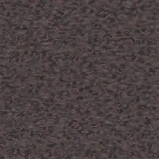 clothing png