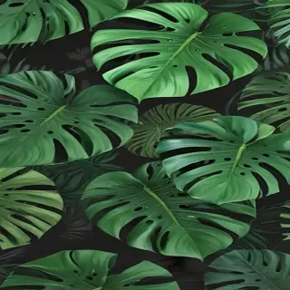 monstera background