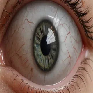 eye ball png