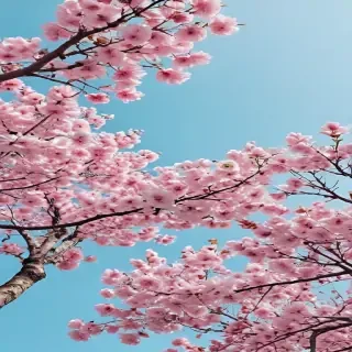 spring desktop wallpaper aesthetic