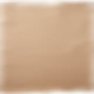 aesthetic ripped paper png