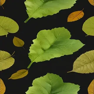 leaf transparent background