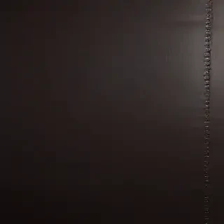 leather background