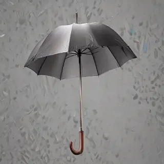 umbrella transparent background