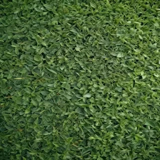 green textures