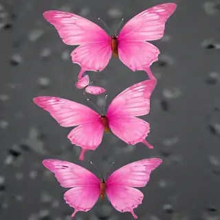 pink butterflies png