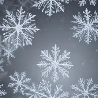 transparent snowflakes