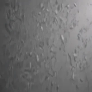 aesthetic grey background