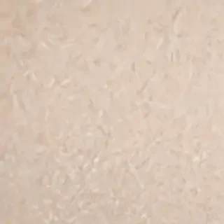 neutral aesthetic background