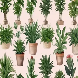 plants no background