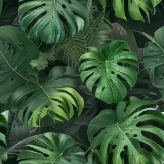 aesthetic monstera wallpaper