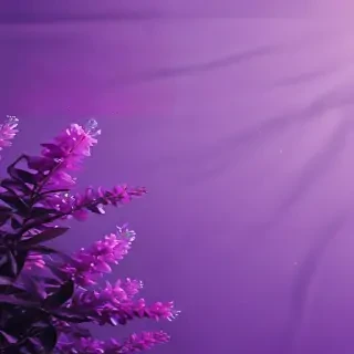 purple aesthetic iphone wallpaper
