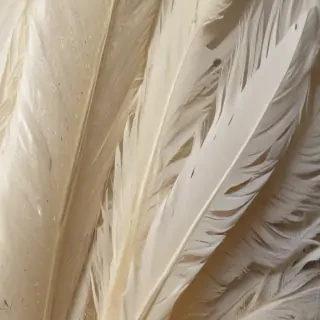 feather design