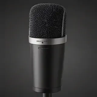 microphone .png