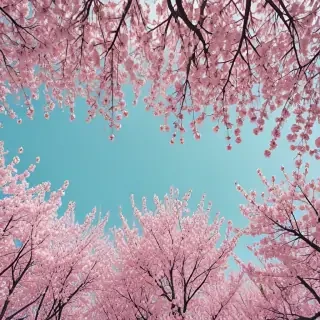 spring backgrounds aesthetic