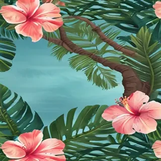 hawaii png