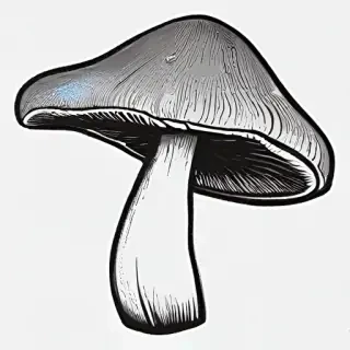 mushroom clip art black and white