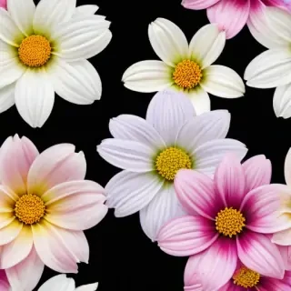 flowers clip art transparent background