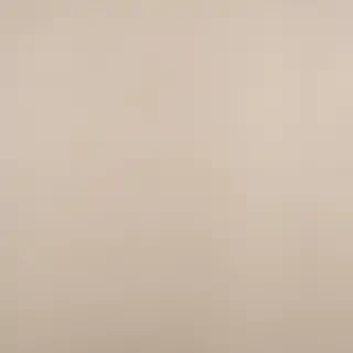 neutral colors background