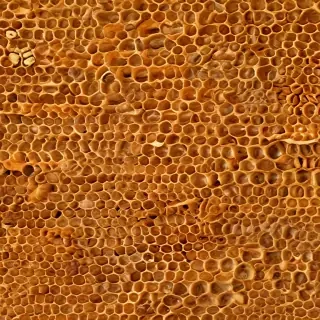 honeycomb png