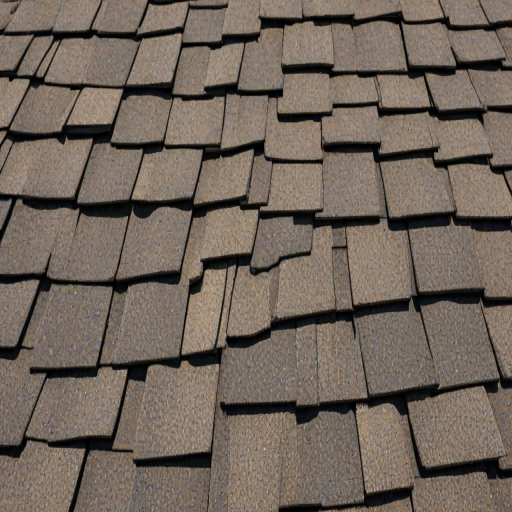 picture of shingles