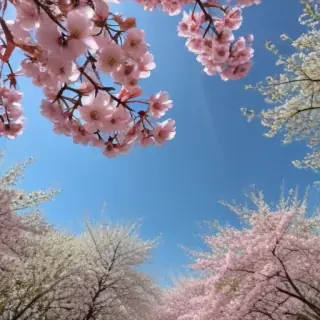 spring iphone