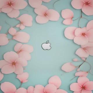 cute backgrounds iphone