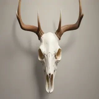 deer skull png