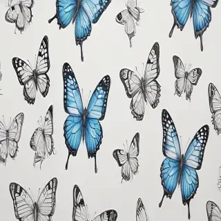 drawing butterflies