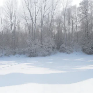 transparent snow png