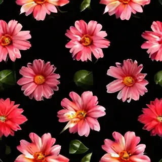 flower black background