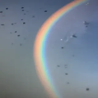 transparent rainbow