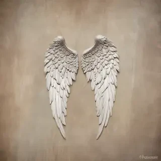 angel wing pictures