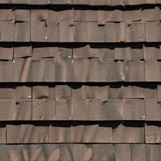 shingles images