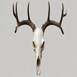 deer skull png