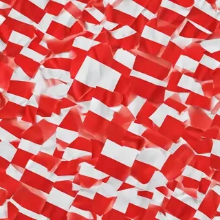 polish flag