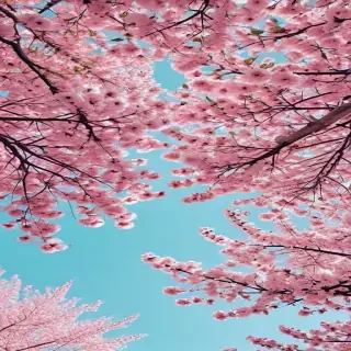 spring desktop wallpaper aesthetic