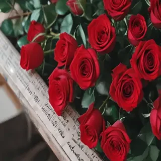 red roses aesthetic