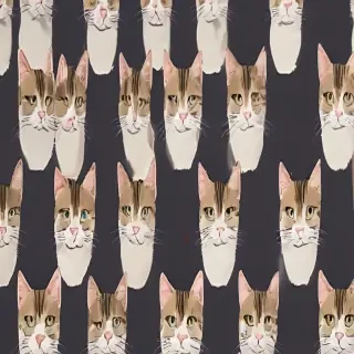 cat background
