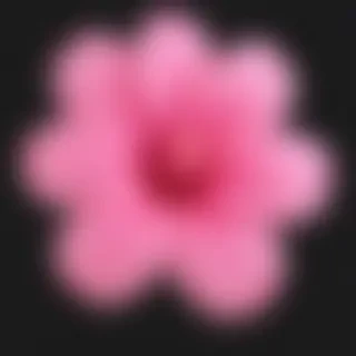 pink flower png