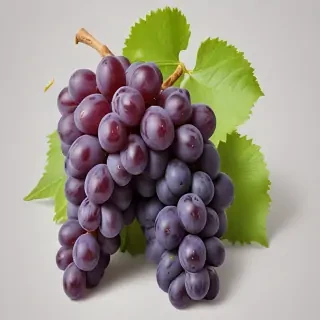 grape png