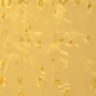 yellow background aesthetic