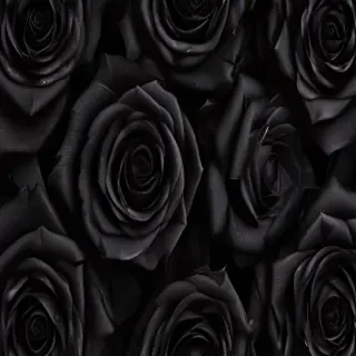 black roses background