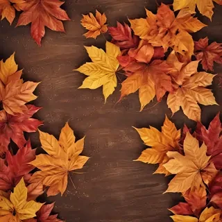 autumn wallpaper phone
