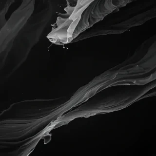 black and white iphone wallpaper