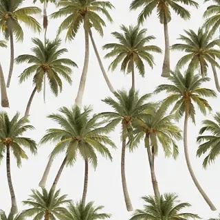palm trees transparent
