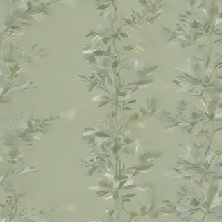 sage green bg