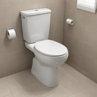toilet png