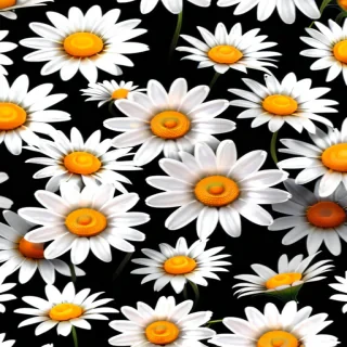 daisies png