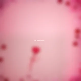 valentines aesthetic wallpapers